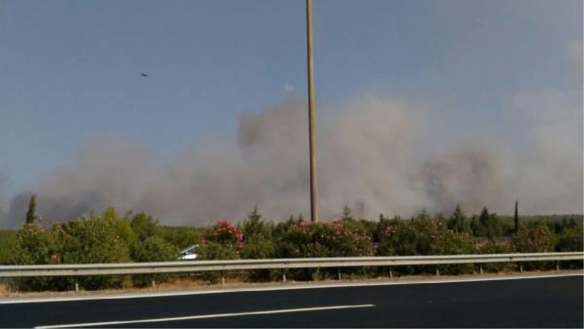 İzmir\'de Otoyol Yakınında Orman Yangını