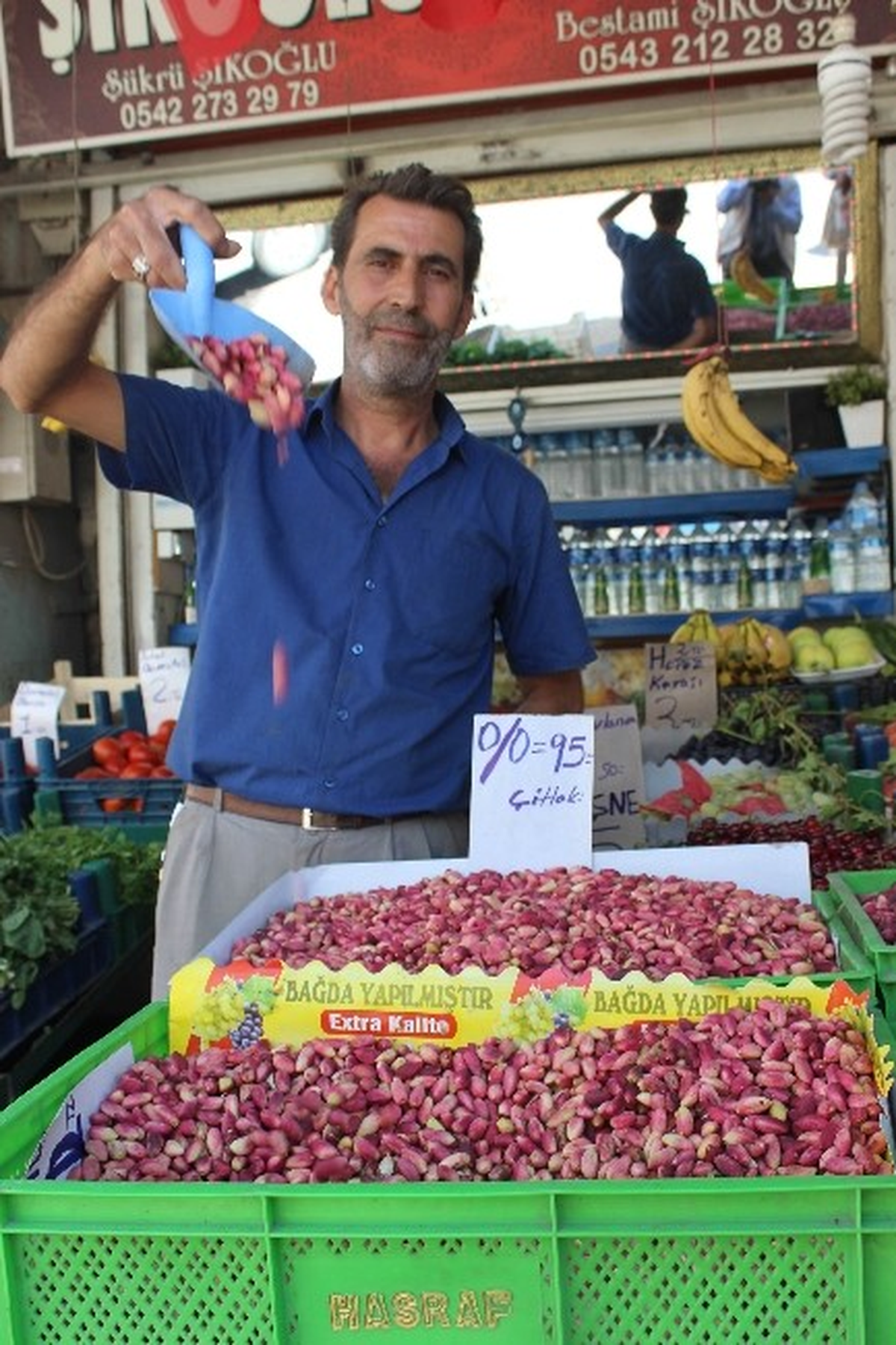 Kilis\'te Antep Fıstığı Kilosu 10 TL\'den Satılıyor
