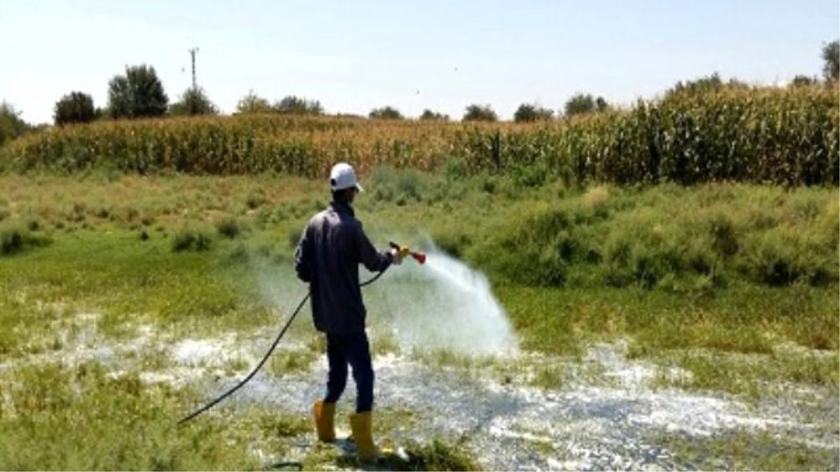 Kırsal İlçelerde İlaçlamaya Devam