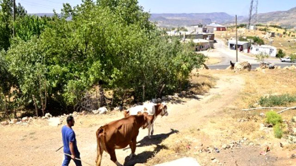 Kırsal Mahallelerde Su Dezenfeksiyon Çalışması
