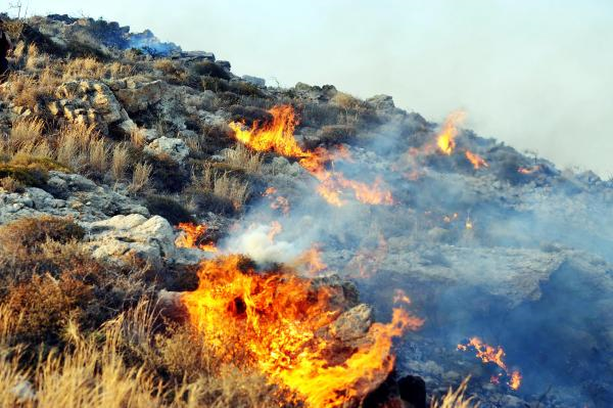 Bodrum\'da Otluk Alanda Yangın