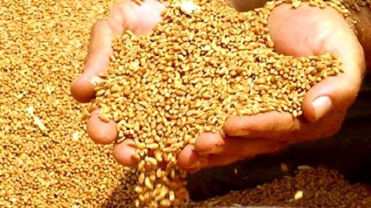 Kızıltepe Ticaret Borsası