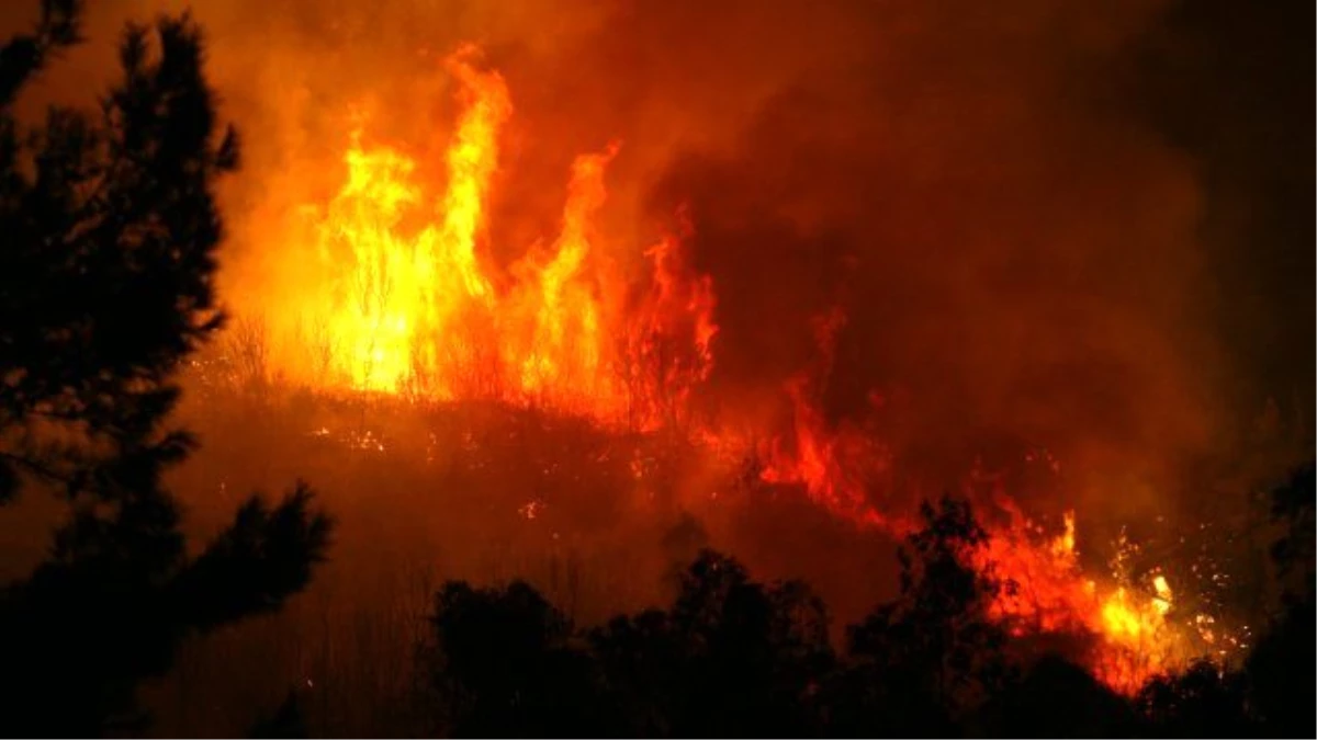 İzmir\'deki Orman Yangın Devam Ediyor