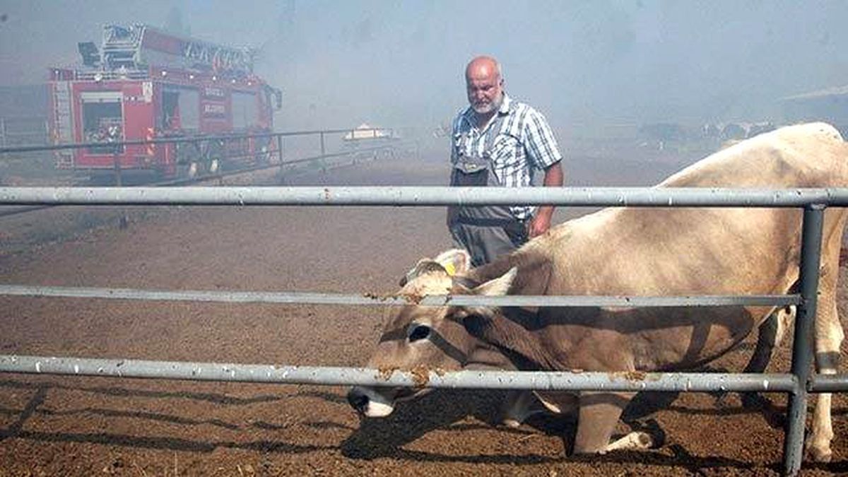 Sivas\'ta Besi Çiftliğinde Yangın