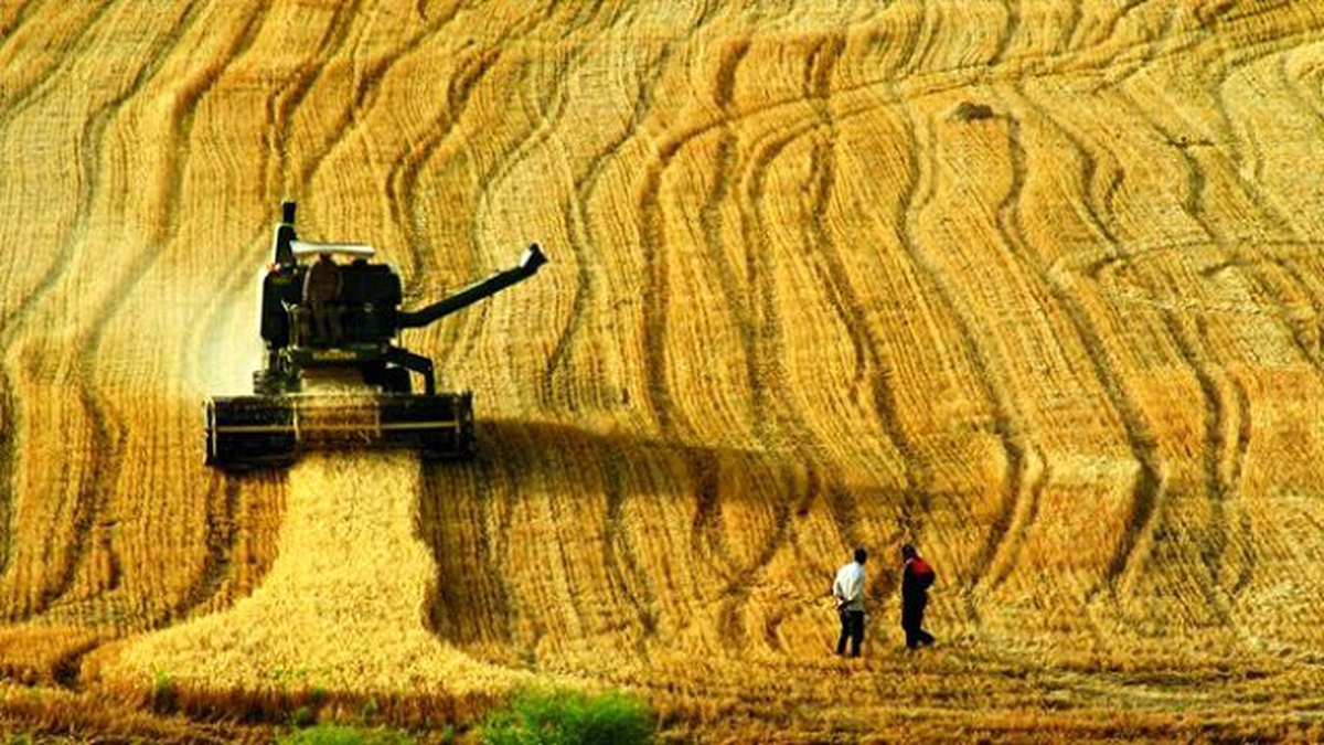 Ticaret Borsası, Tarımsal Alanda Yaşanan Sıkıntılara Dikkat Çekti