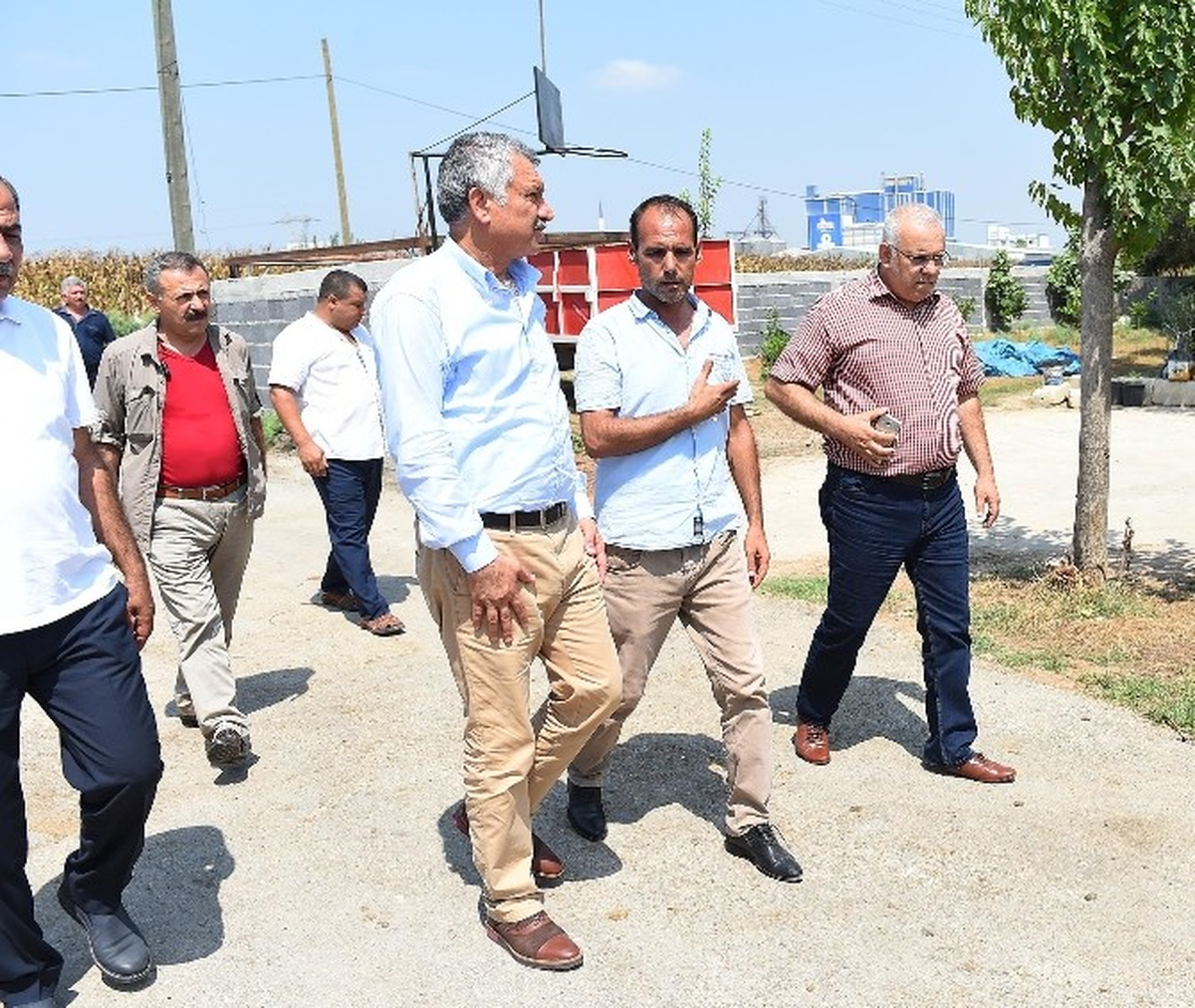 Başkan Karalar, Zeytinli\'de İncelemelerde Bulundu