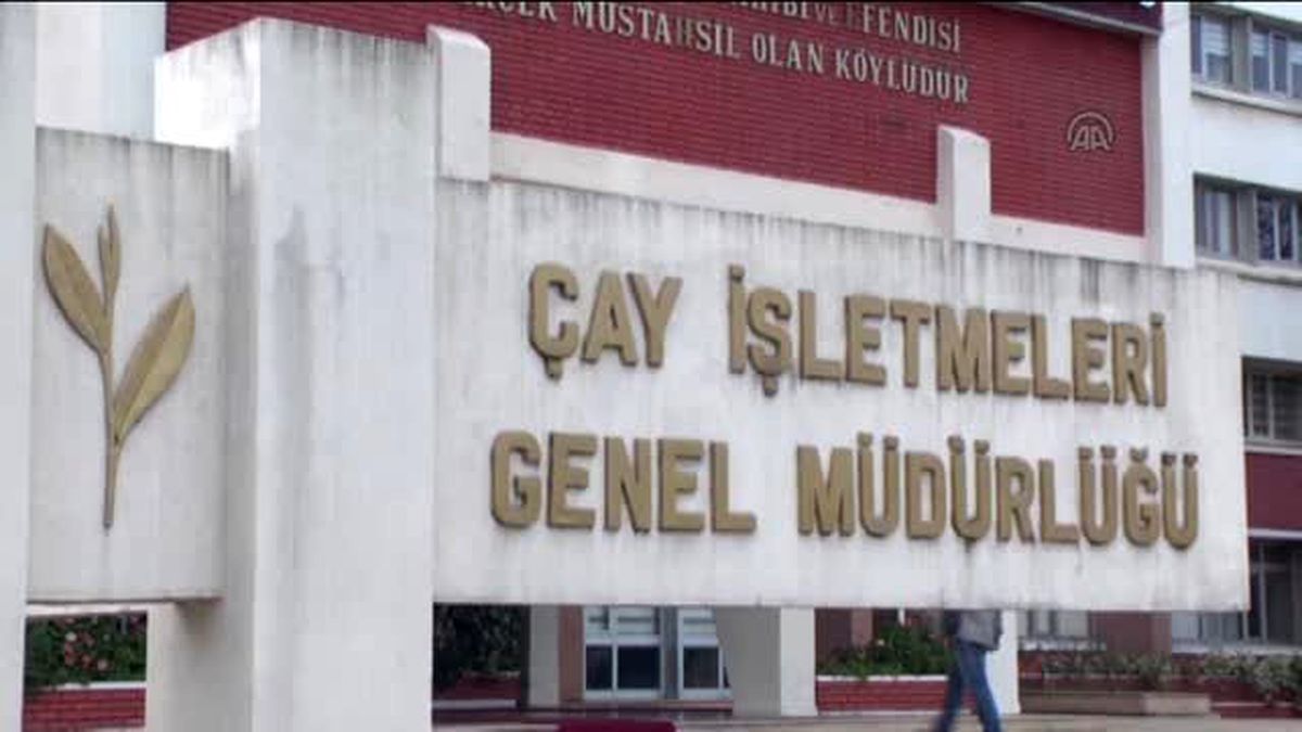 Çaykur'da 38 Personel Açığa Alındı