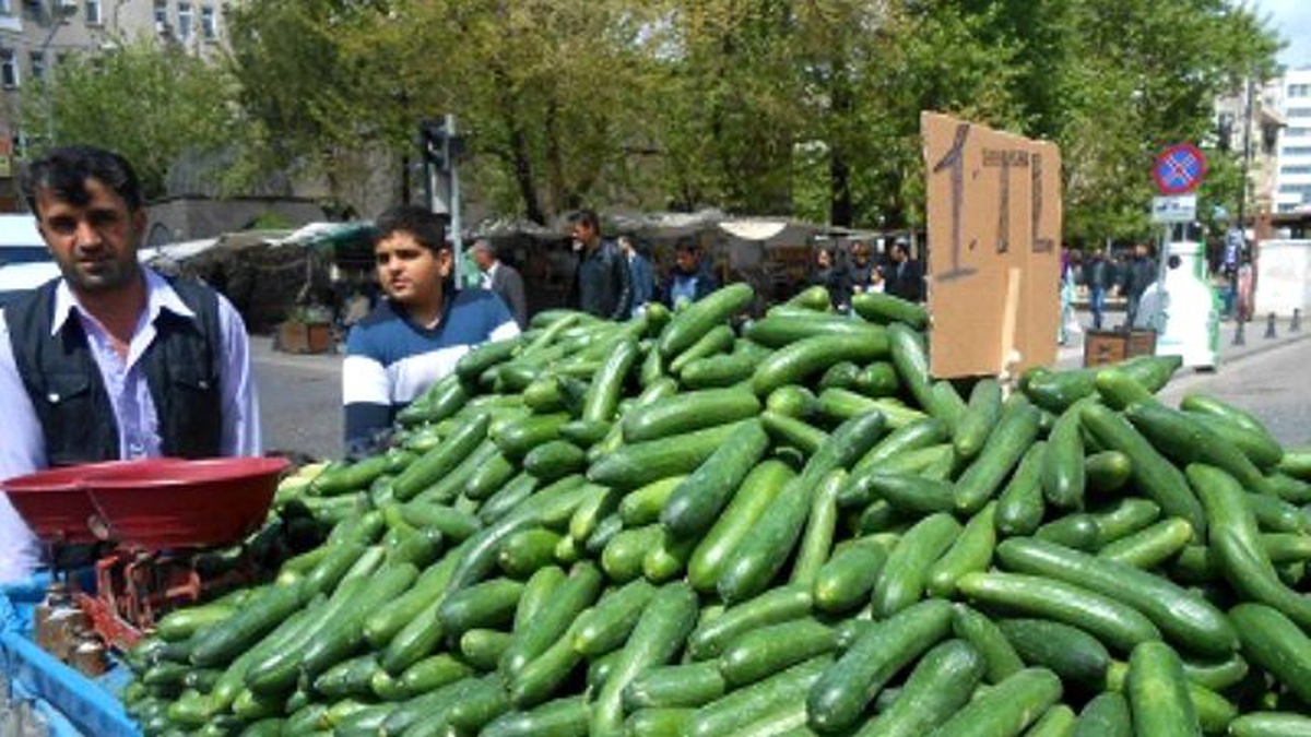 Diyarbakır Yerli Salatalığı Piyasada