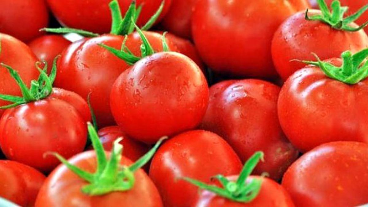 Domates Urfa\'da Cep Yaktı