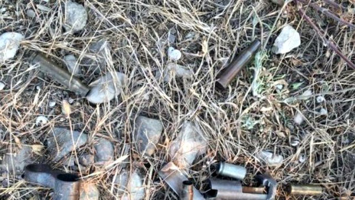Sakarya\'da Yol Kenarına Atılan Çantadan Mühimmat Çıktı