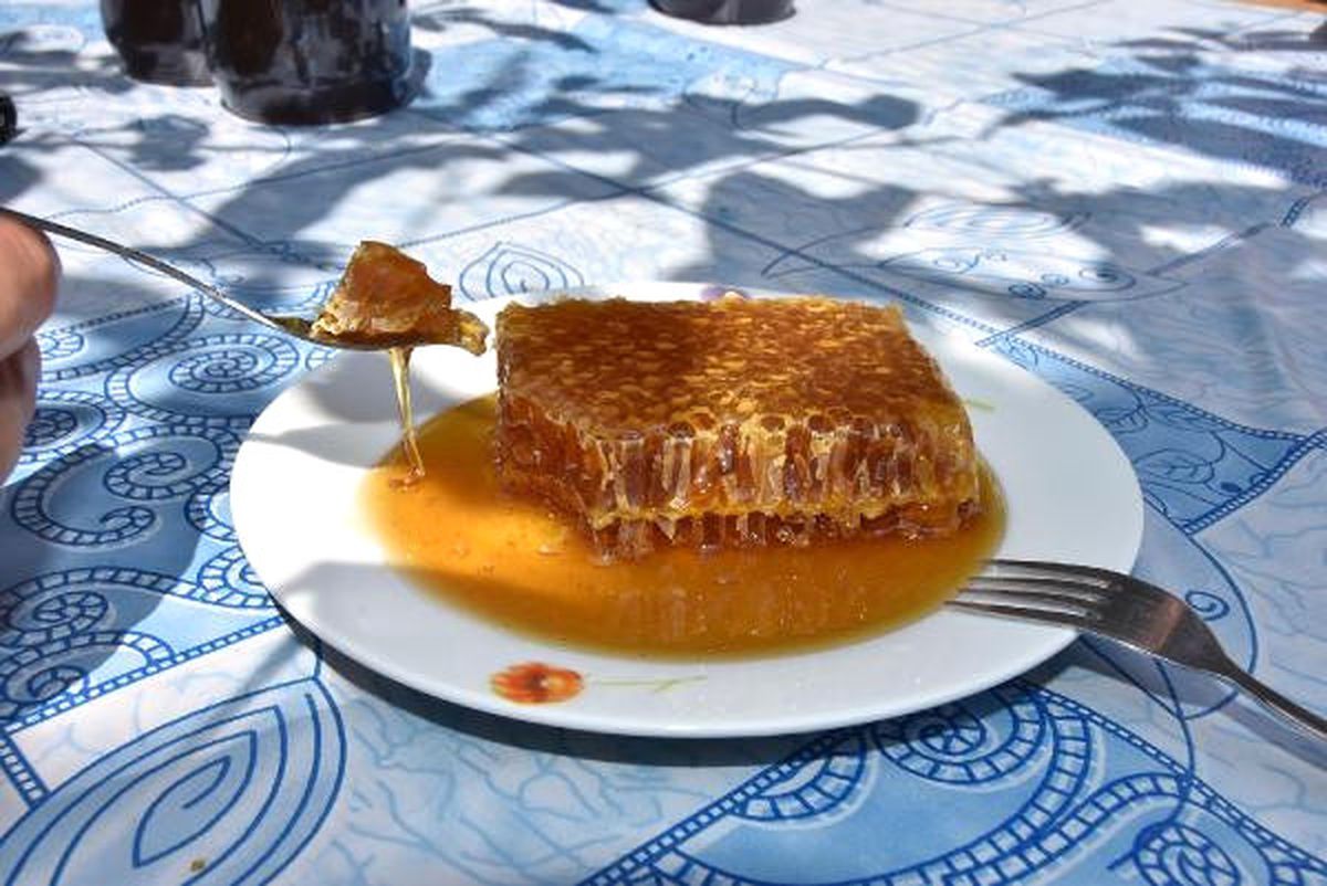 Yılda 300 Kilo Kestane Balı Üretiyor