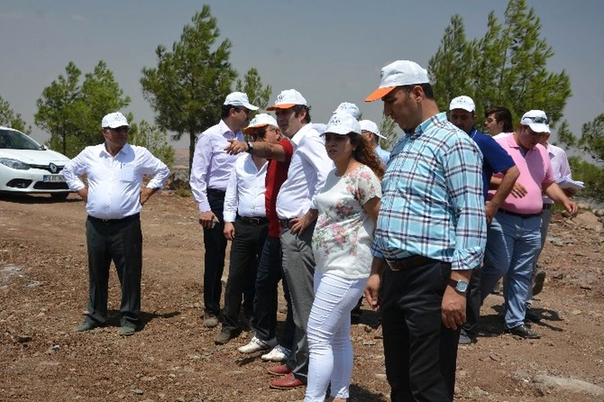 Başkan Kara, Tedaş Genel Müdürü ile Resul Osman Dağ\'ında İncelemelerde Bulundu