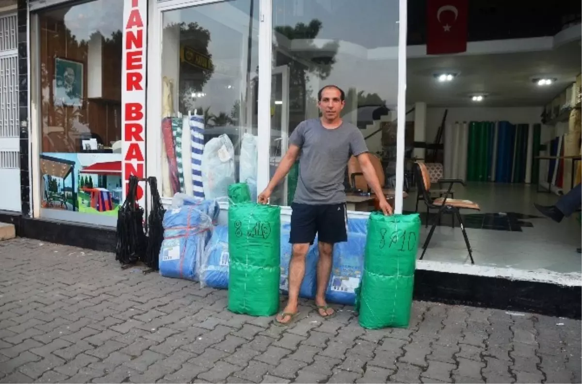 Fındık Sezonu Brandacılara Yaradı