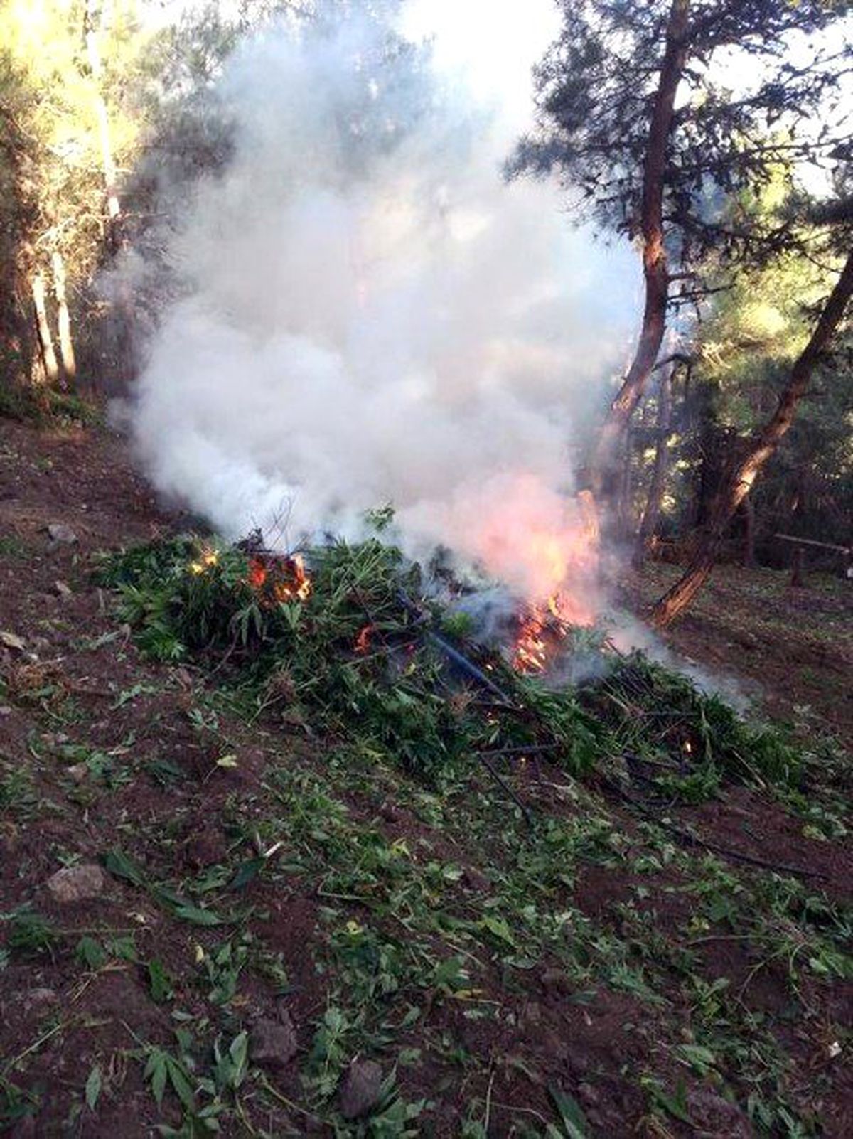 Hatay\'da Uyuşturucu Operasyonu