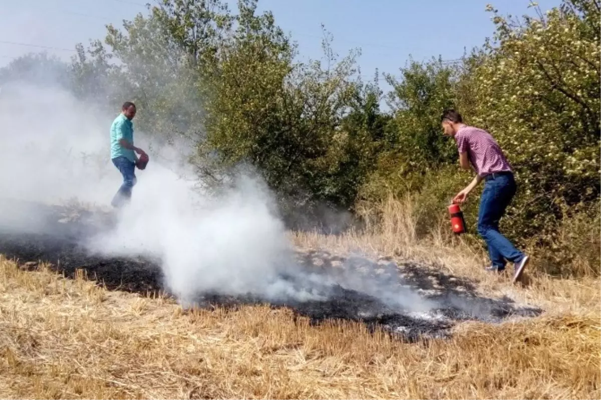 Hayrabolu\'da Anız Yangını Korkuttu