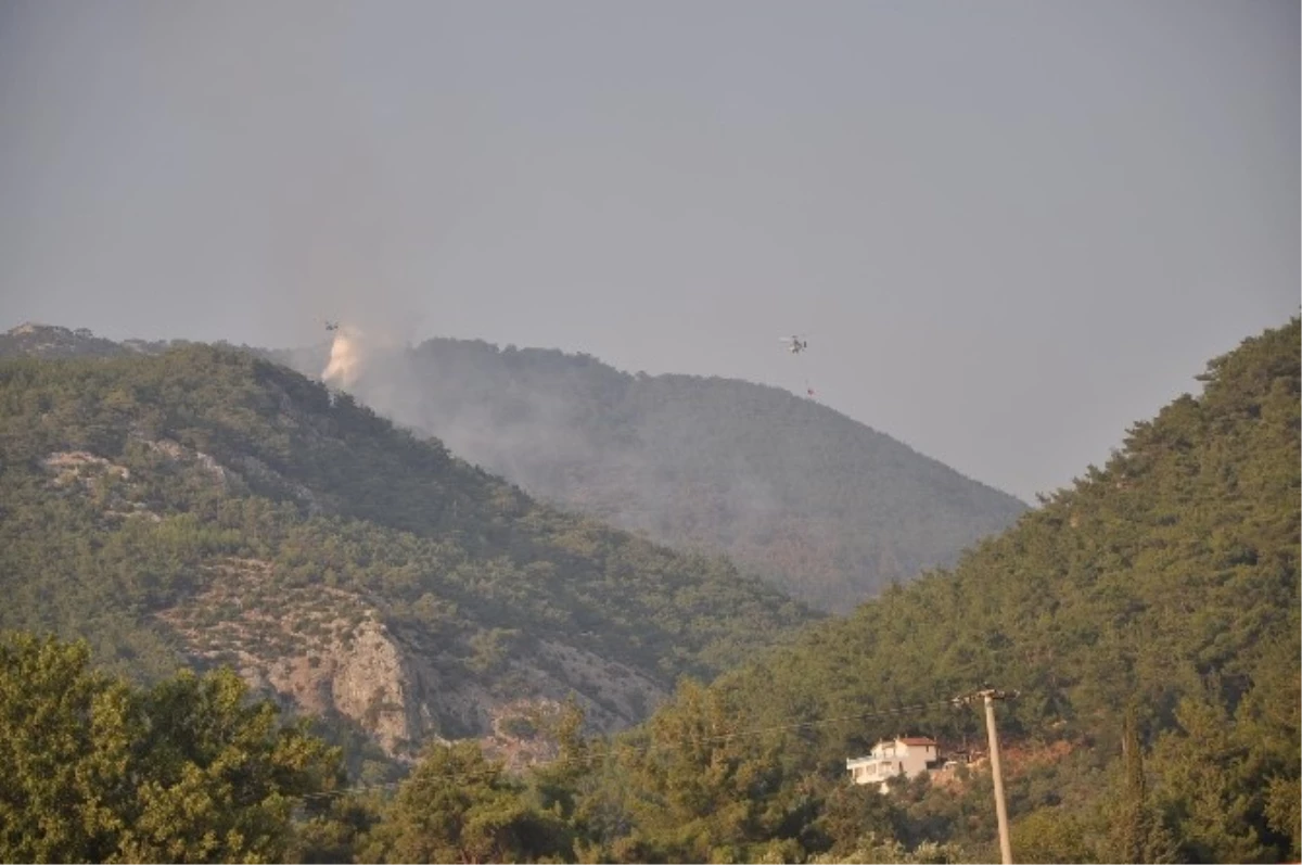 İzmir\'de Orman Yangını