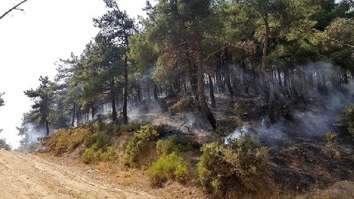 Keşan\'da Orman Yangını (2)