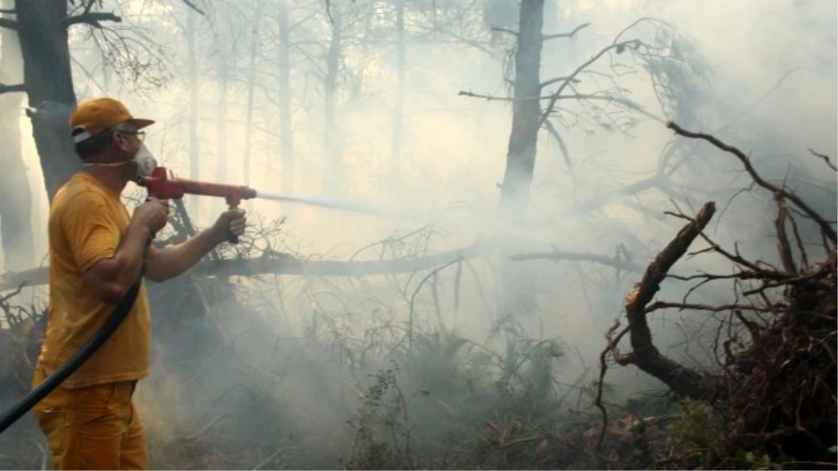 Keşan\'daki Orman Yangını Kontrol Altına Alındı