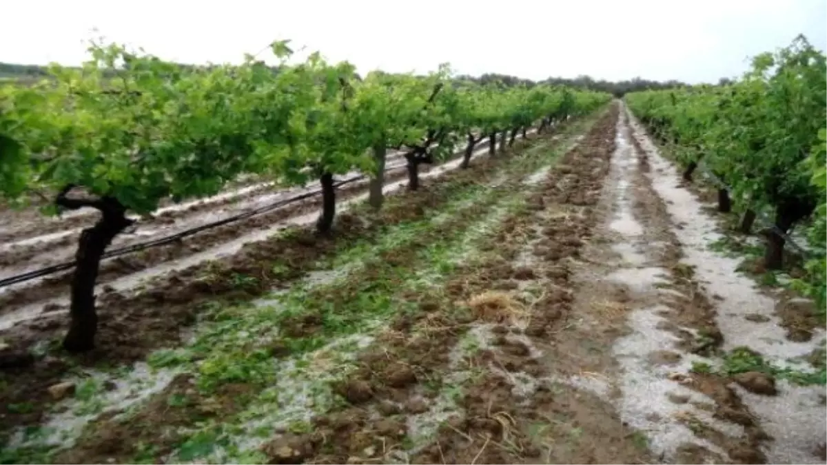 Manisa\'daki Dolu Yağışı