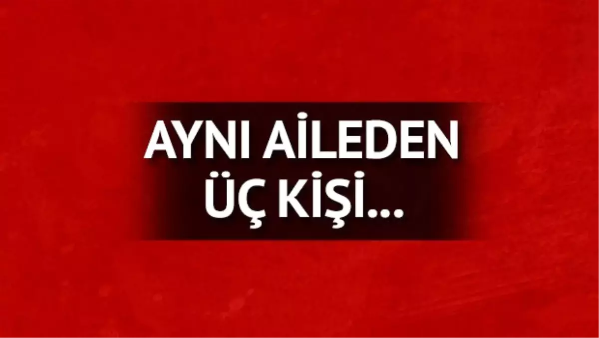 Almanya\'da Tır\'ın Çarptığı Otomobilde 3 Türk Öldü