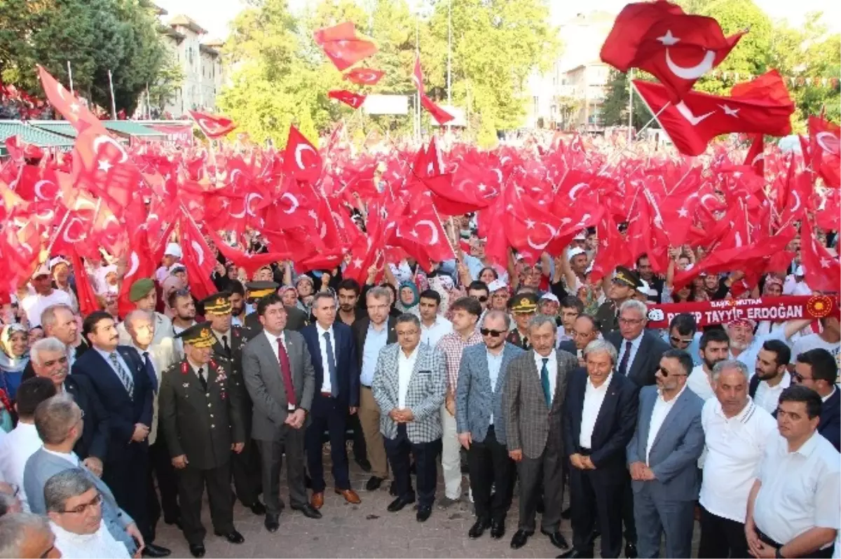 Kayının Binlerce Torunu "Demokrasi ve Şehitler Mitingi"Ne Katıldı