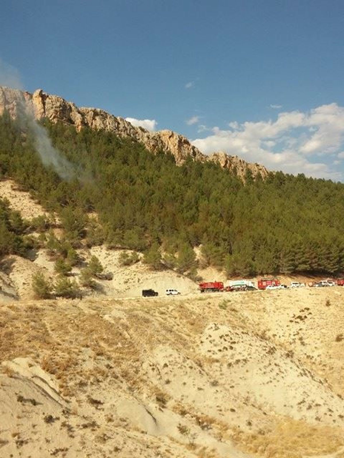 Adıyaman\'da Orman Yangını