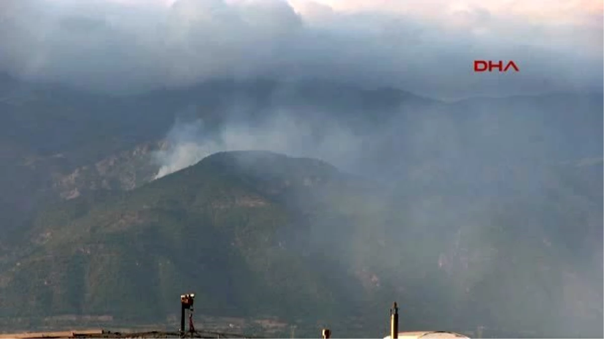 Tokat Erbaa\'da Orman Yangını
