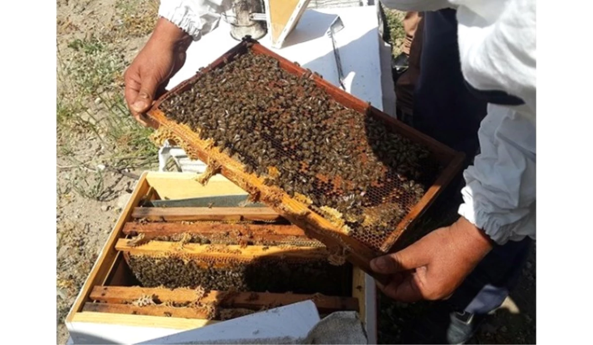 Ballı\' Destekten Germiyanlı Kadınlar da Yararlanacak