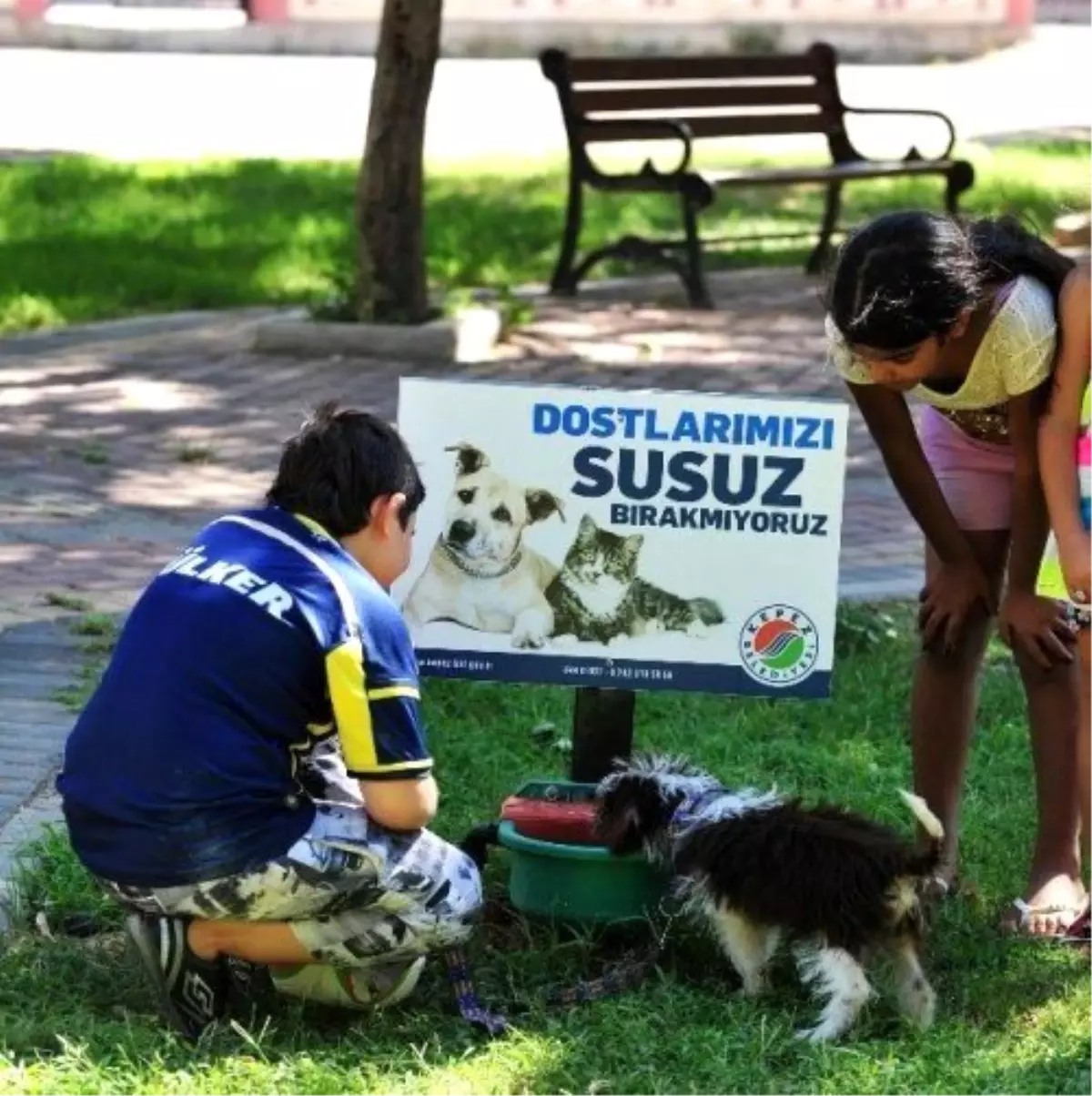 Büyükçekmece Belediyesi\'nden Örnek Uygulama