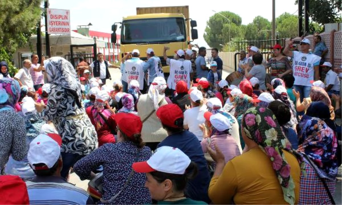 CHP\'li Vekillerden Alaşehir\'de Grevdeki Üzüm İşçilerine Destek