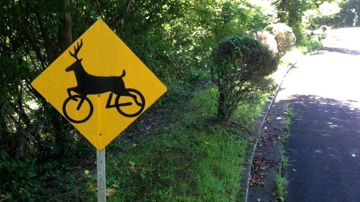 Japonya'daki Geyikli Tabela Ne Anlama Geliyor?