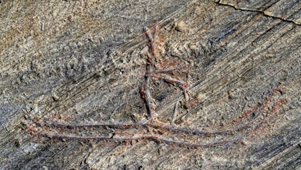 Norveçli Çocuk 5 Bin Yıllık Kaya Oyması Resmi Tahrip Etti