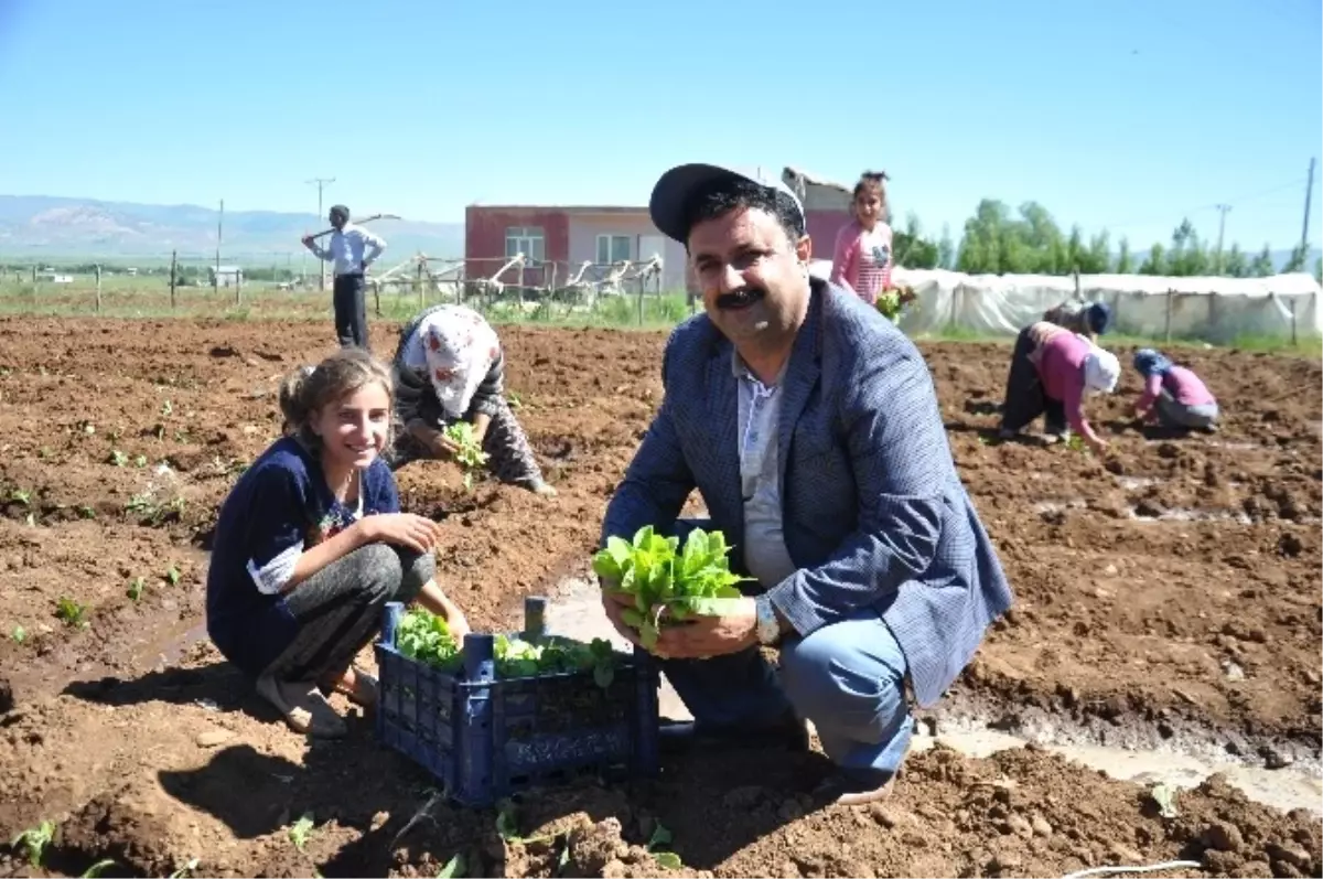 Solgun: "Muş Ovası\'nın Kurutuluşu İçin Mücadele Ediyoruz"