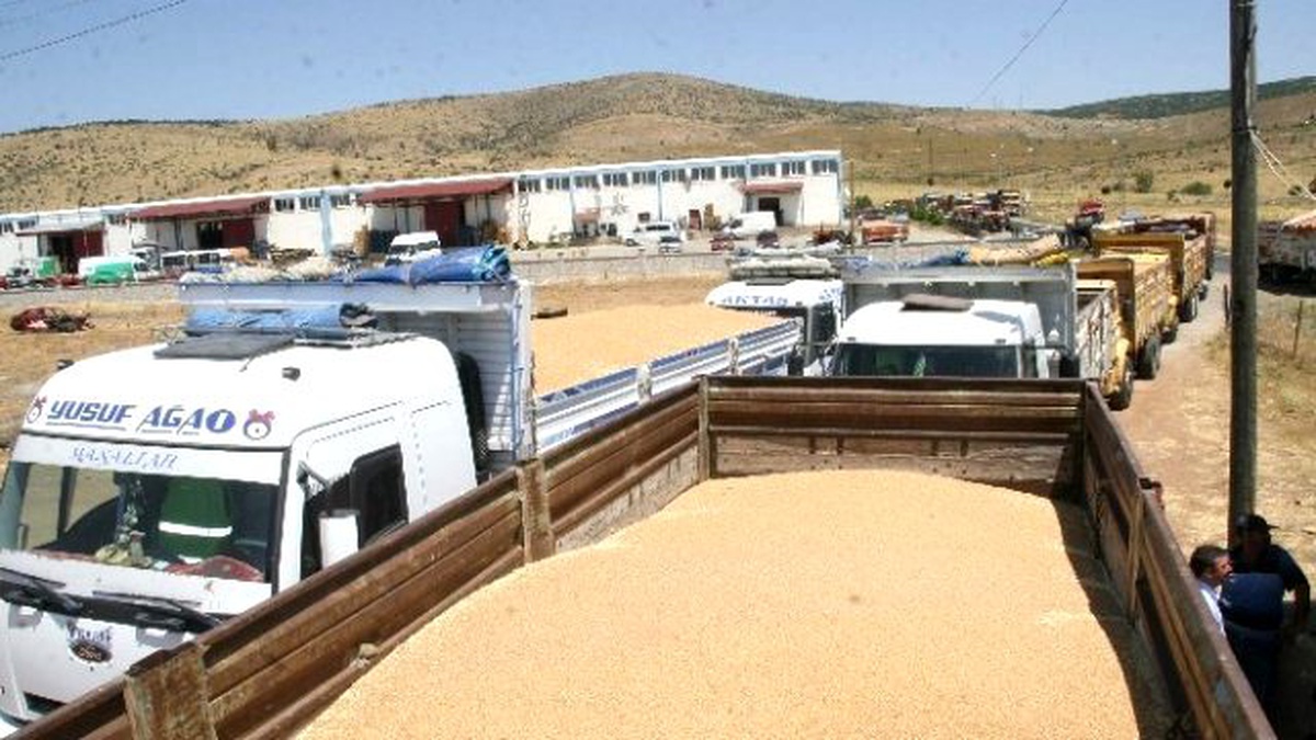 TMO Kastamonu\'da 200 Ton Buğday Alımı Yaptı