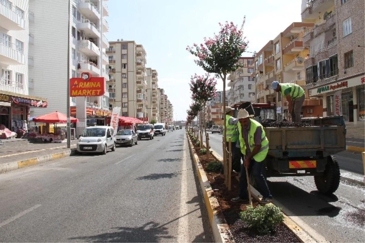 Bağlar Belediyesi\'nin Yeşillendirme Çalışmaları Devam Ediyor