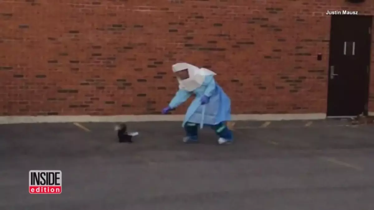 Başı Bardağa Sıkışmış Kokarcayı Kurtaran Paramedik