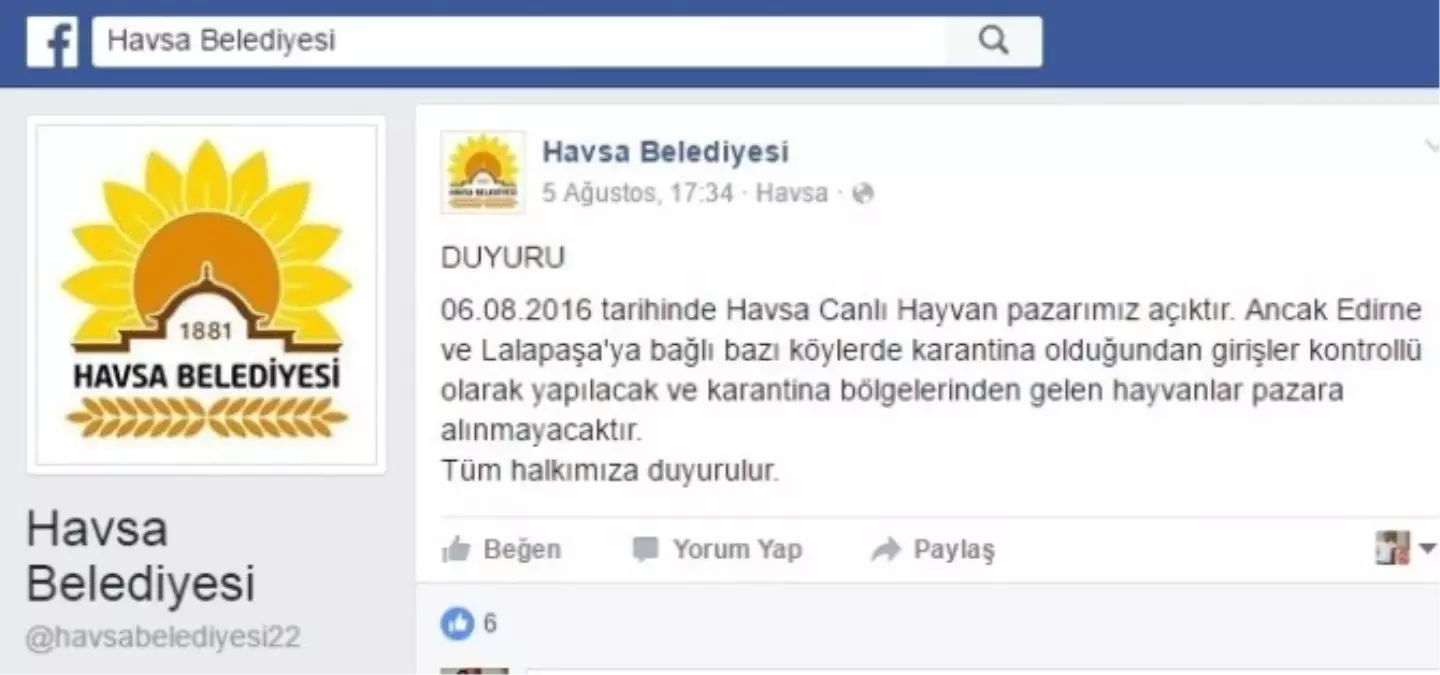 Canlı Hayvan Pazarına Hastalık Önlemi