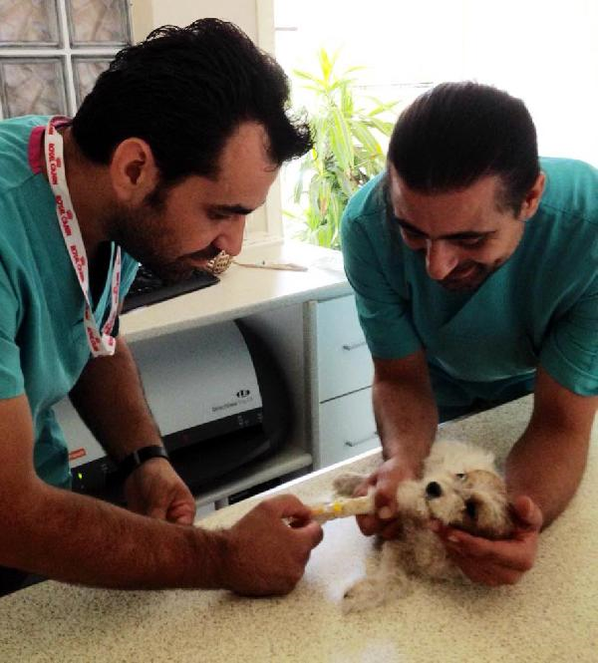 Çöplüğe Terk Edilen Yavru Köpeğe Sahip Çıktılar