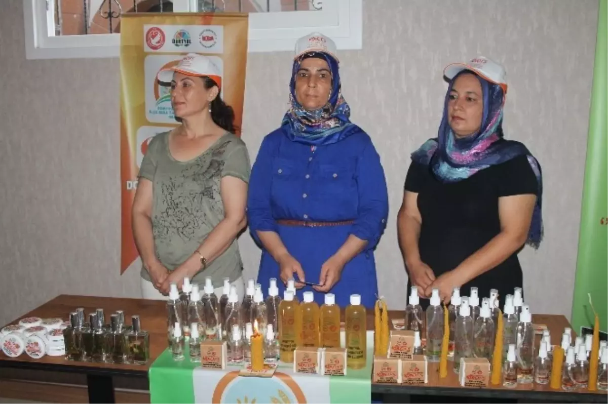 Hataylı Kadınlar Narenciyeden Kozmetik Ürettiler