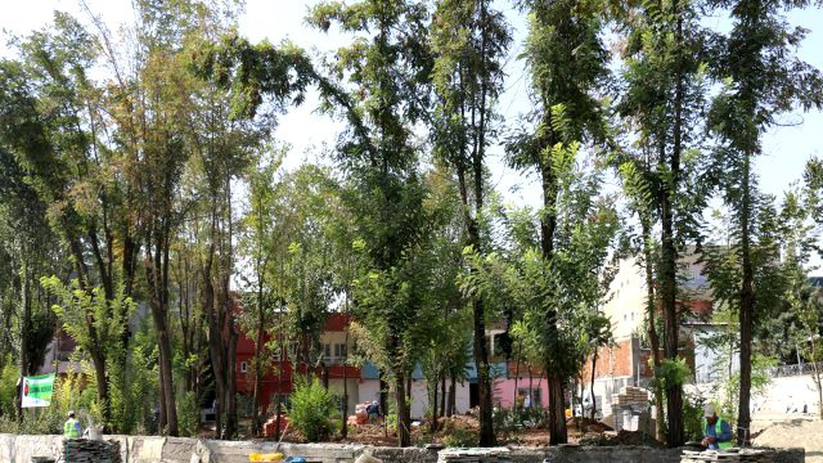 Batmandaki Çay Bahçeleri Park Alanlarına Dönüştürülüyor