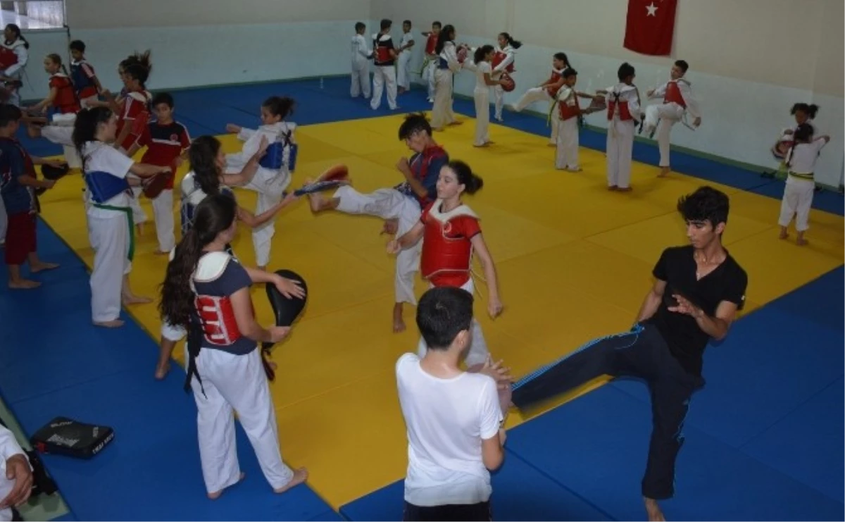 Bergama\'da Ordu Gibi Taekwondo Takımı