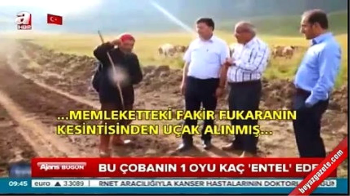 Bu Çobanın Bir Oyu Kaç \'Entel\' Eder?