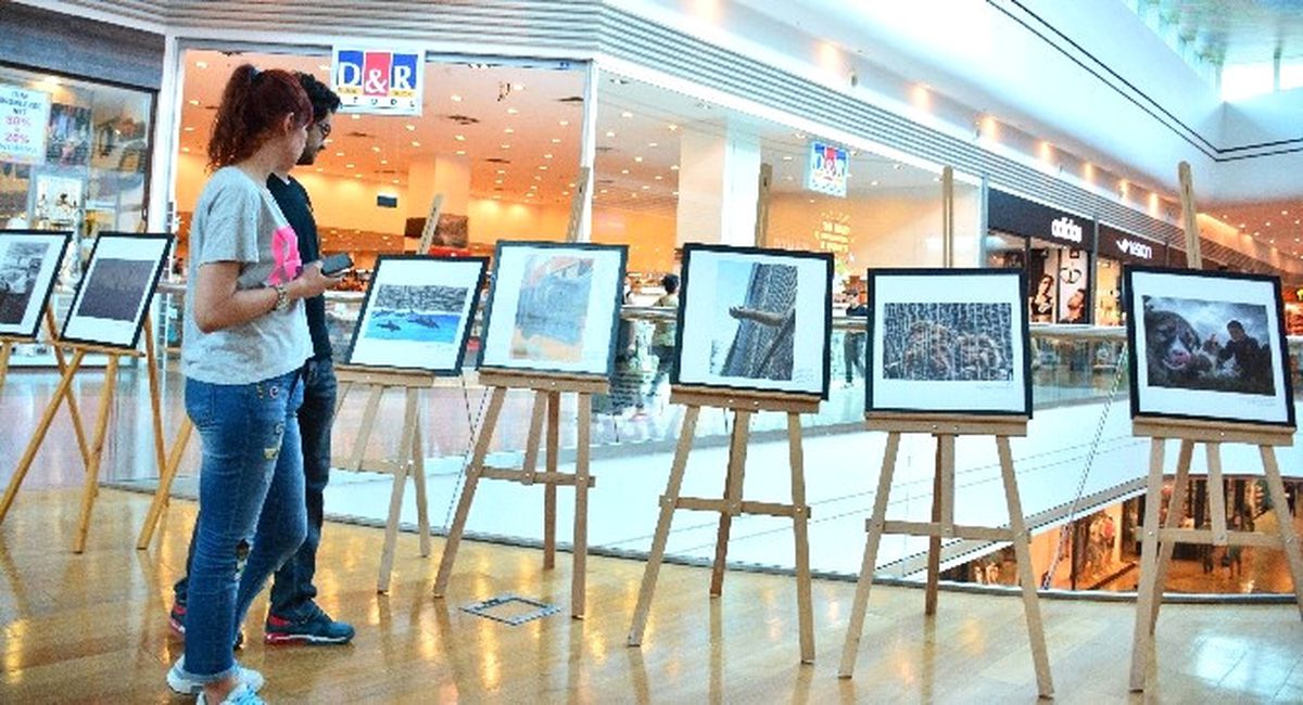 Hayvan Hakları Fotoğrafları Sergisi