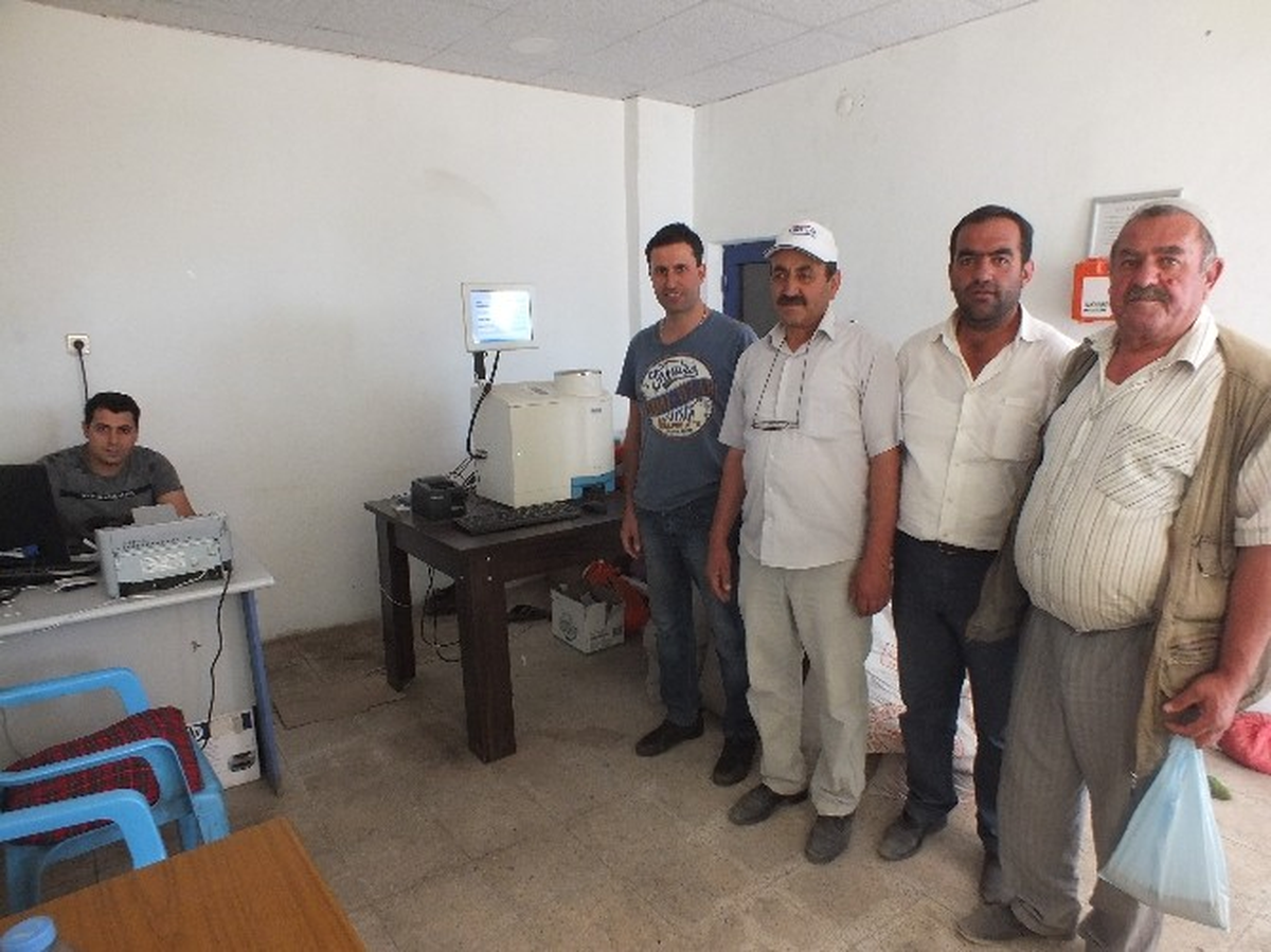 Malazgirt\'te TMO Buğday Alımını Sürdürüyor