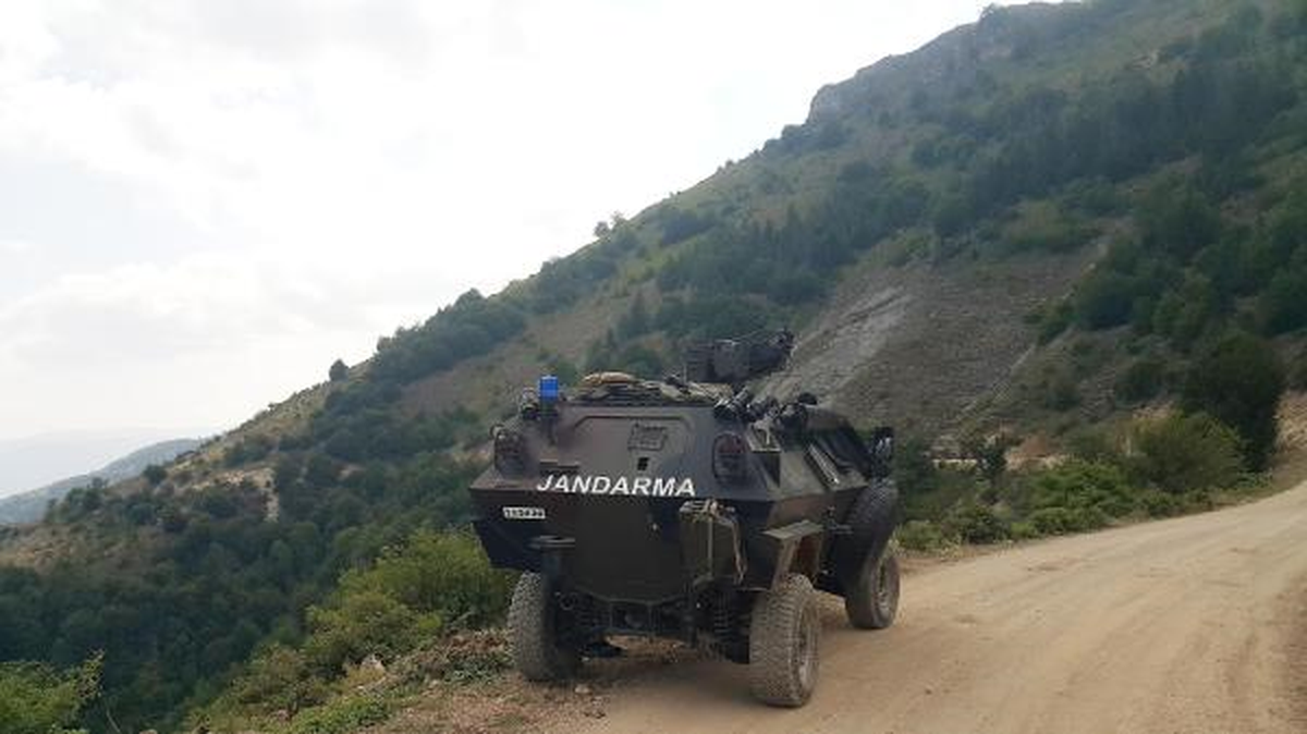 Ordu\'da Terör Operasyonu Yapan Jandarma, 6 Bin Kök Kenevir Buldu