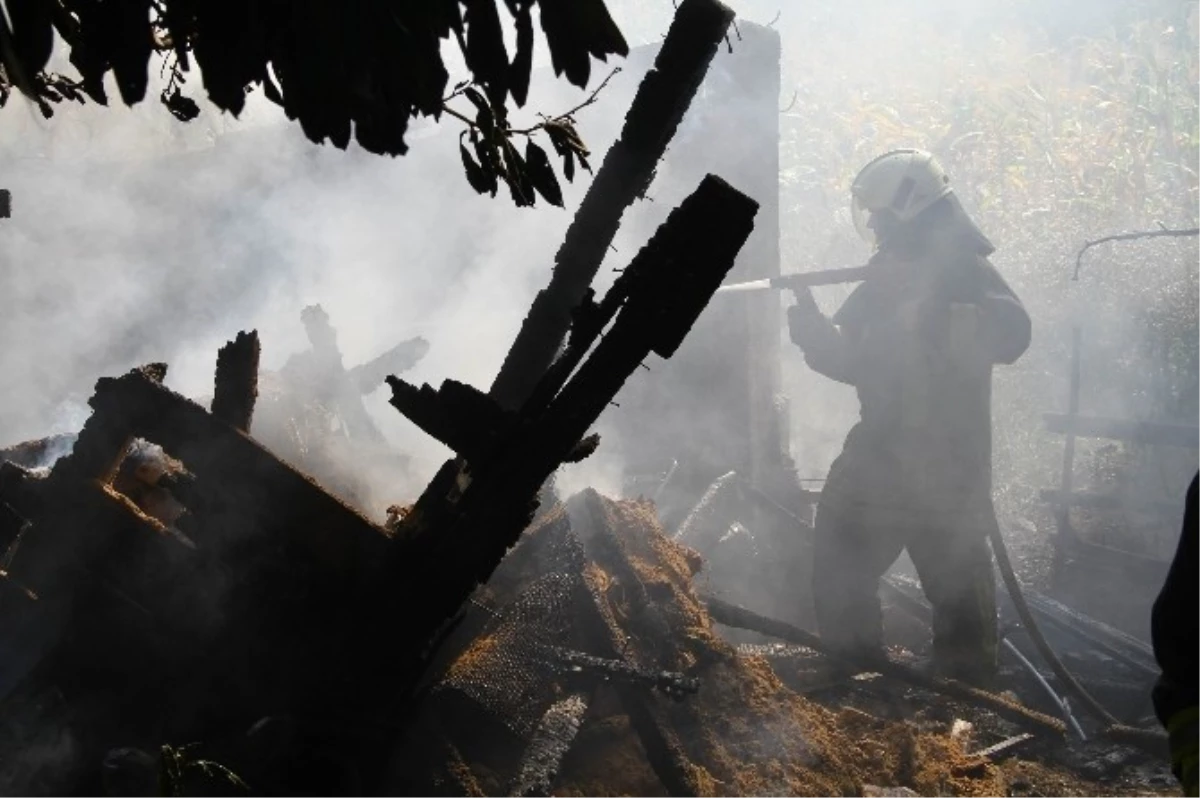 Samsun\'da Odunluk Yangını Korkuttu