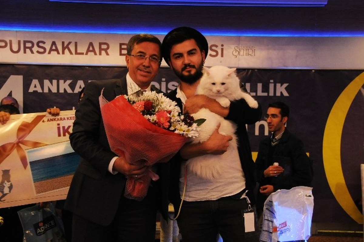 Uluslararası Pursaklar Kedi Güzellik Festivali Başlıyor