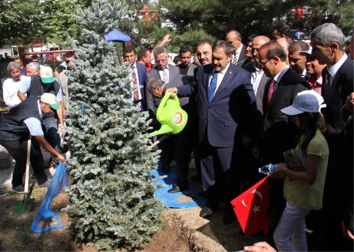 Bakan Eroğlu: "Çıkan Bin 733 Orman Yangınında 6 Bin 659 Hektar Alan Yandı"
