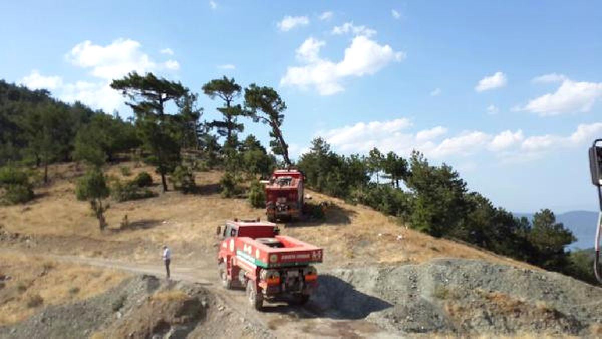 Çorum\'da 15 Bin Kızılçam Ağacı Yandı