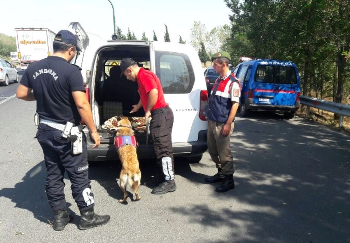 Jandarma ve Polisin Yol Kontrolleri